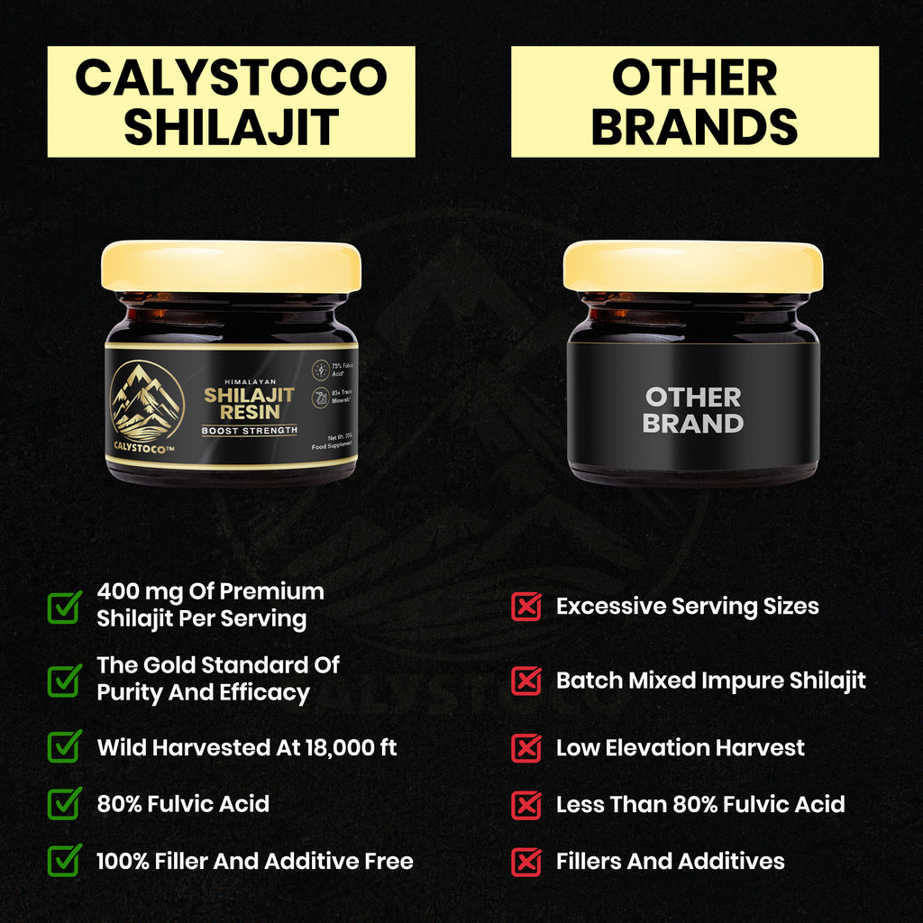 90Grams Shilajit Resin